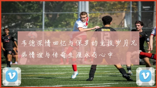 韦德深情回忆与保罗的竞技岁月兄弟情谊与传奇生涯永存心中